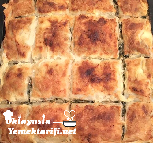 ispanakli tepsi boregi