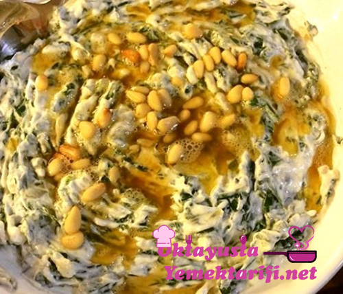 ispanak borani tarifi